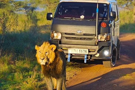 Nairobi Park Safari, Elephant Orphanage and Giraffe Centre Tour.