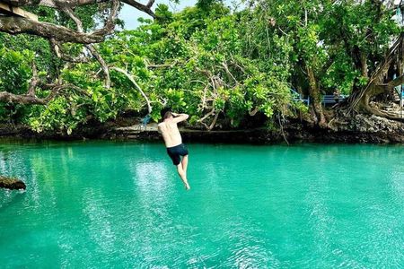 Efate Island Tour – Village, Turtles, Blue Lagoon & Eden River