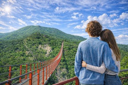 Full Day DMZ Tour with Red Susp.Bridge & North Korea Museum