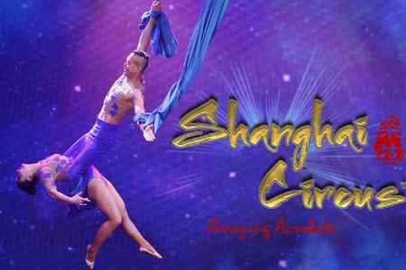Amazing Acrobats: Grand Shanghai Circus Show