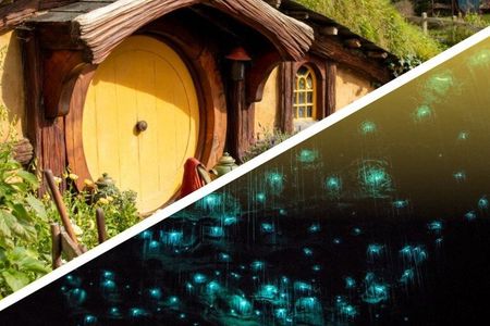 Hobbiton & Waitomo Caves Day Tour with Lunch from Auckland