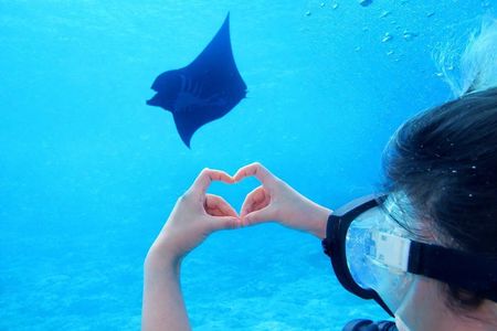 【1st】Private Diving Experience at Ishigaki Island - Novices welcome!～