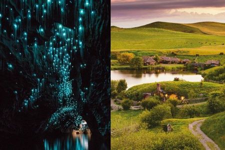 Hobbiton & Waitomo Caves Day Tour with Lunch from Auckland