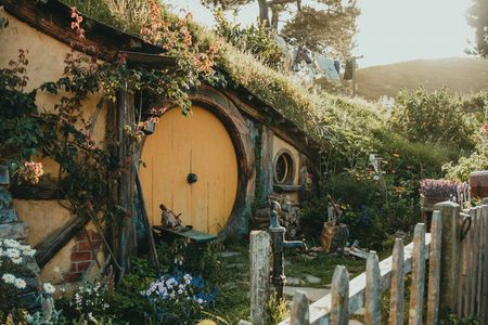 Premium Hobbiton Small Group Day Tour from Auckland