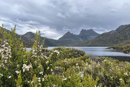 Cradle Mountain Half Day Park Explorer Tour with Lunch
