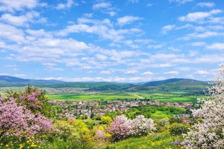From Sofia The Beauty of the Countryside and a Homemade Lunch