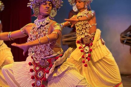 Luxury Day Trip from Colombo to Pinnawala and Kandy Highlights