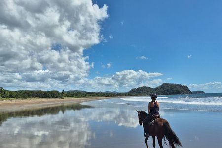 Jungle and Beach Horseback Riding Tour - 2H 1/2