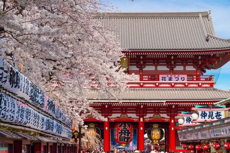 Best Tokyo with a National Licensed Guide