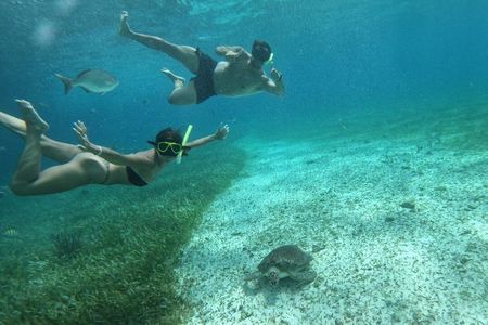 Shared Snorkeling Tour Playa El Cielo in Cozumel