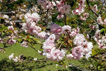 Nagasaki Private Historical Tour with Licensed Guide