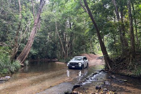 Barron Gorge and Kuranda National Park Half Day Rainforest and Waterfall 4WD Tour from Cairns