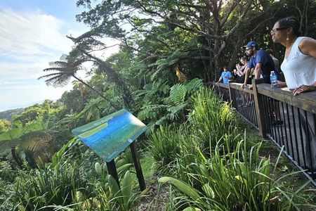 Cape Tribulation, Mossman Gorge and Daintree Rainforest Day Tour