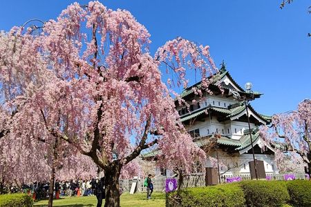 Private Car Tour of Aomori Golden Route