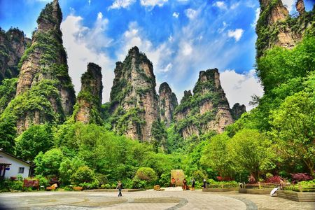 Private 1 Tour Zhangjiajie National Forest Park Avatar Mountain