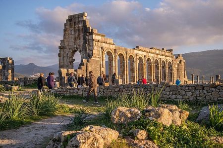 Day Trip From Fez To Meknes - Volubilis - Moulay Idriss