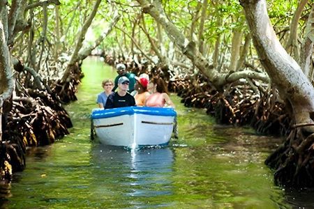 Roatan East Side Mangrove Tunnels ,Garifuna Village,Turtle Farm