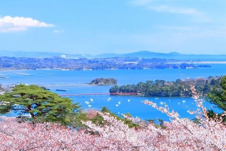 Matsushima Sightseeing Tour with Guided Tour