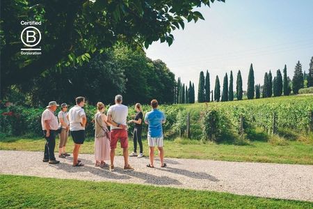 Amarone Wine-tasting Tour from Verona with Private Transportation