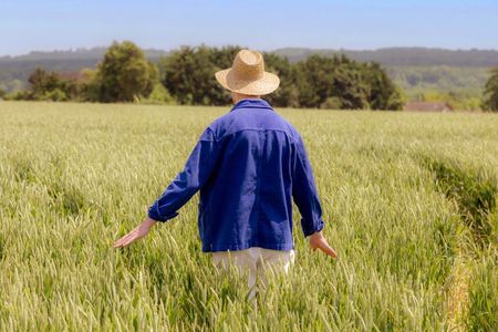 Unique Van Gogh immersive tour in Auvers sur Oise - 1.5 hours