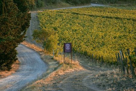 Guided tour and tasting at Fattoria La Leccia