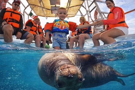 Cabo's Original Clear Boat Tour! See it all in one tour!