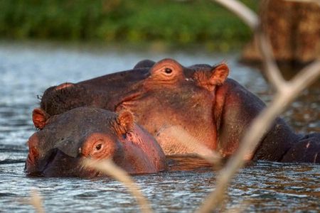 Lake Naivasha & Hell’s Gate National Park Day Tour from Nairobi