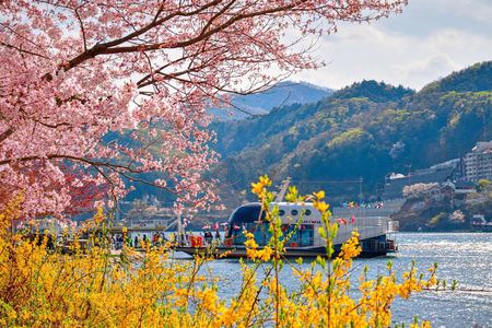 Day Trip to Nami Island with Rail bike and The Garden of Morning Calm