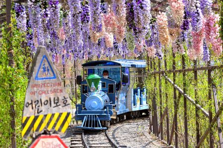 Nami Island Trip with Petite France & Italian Village and Gangchon Rail Bike