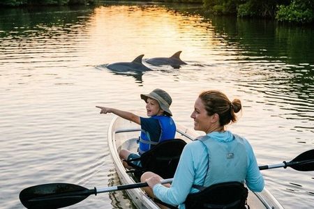 Dolphin and Manatee Clear Kayak or Paddleboard Tour