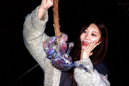 Okinawa Miyakojima Jungle Adventure Tour in a Starry Night!Stargazing & Night Animal Watching