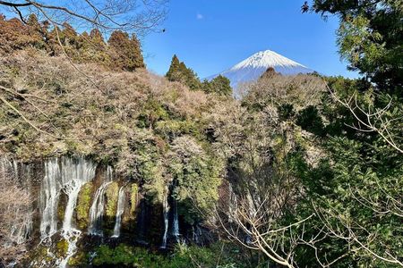 Shimizu Port Private Car Tour – Mt. Fuji & Local Highlights