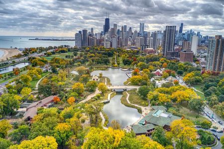 Skyline, Lakefront and Millennium Park Chicago Private Day Tour