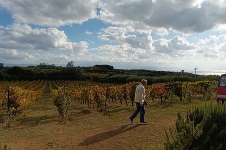 Slow Wine & Tartufo Gelato Tasting Experience 