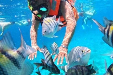 Snorkeling in Heaven Cozumel From Cancun