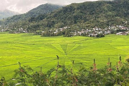 Explore West Flores: Spiderweb Field and Hobbit Cave