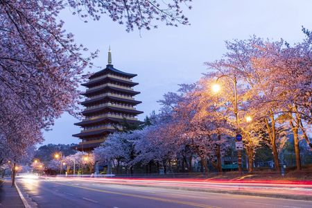 Gyeongju's Top Attractions on Private Tour with a Licensed guide