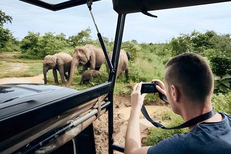Private Tour from Ella to Hiriketiya with Udawalawe Safari