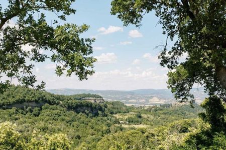 Winery Tour & Wine Tasting with Cheese & Charcuterie