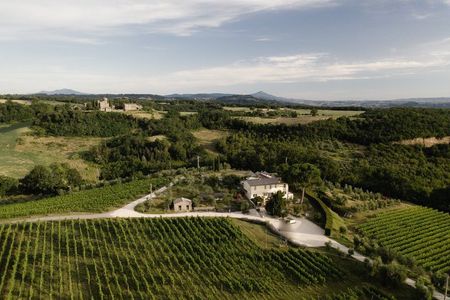 Winery Tour & Wine Tasting with Cheese at a Family Winery