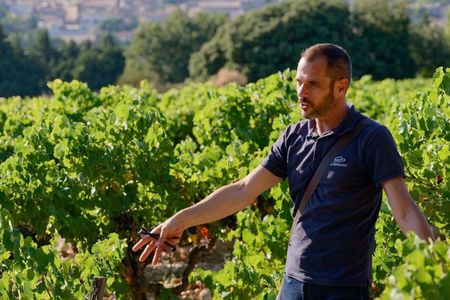 Bandol & Cassis Wine Tour From Aix en Provence