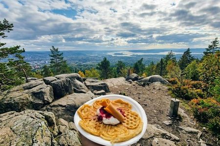 Oslo’s Ultimate Fjord View Hike & Norwegian Waffle Workshop