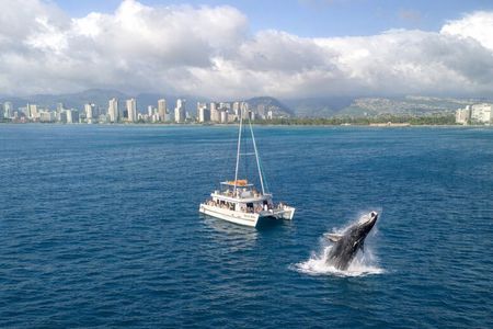 2 Hour Waikiki Whale Watching Cruise from Oahu
