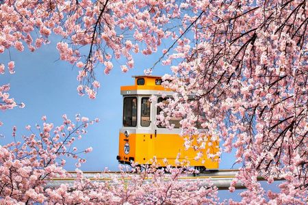 Busan Coastal Charm & Culture: Gamcheon Village & opt Sky Capsule