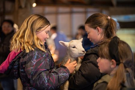 Authentic Kiwi Farm Tour at Woodstone Farm