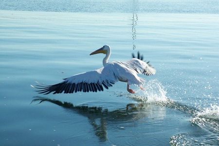 Marine Dune Day: Catamaran Cruise and Sandwich Harbor Dune Drive