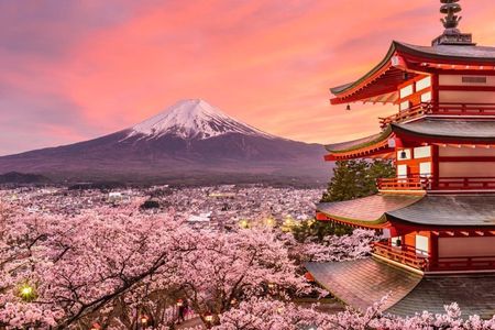 Private Tour To Mount Fuji from Tokyo; A Personalized Experience
