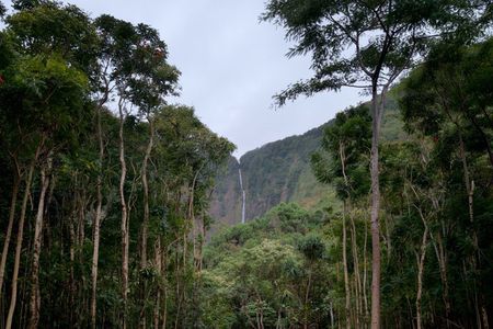 Cultural Stewardship in Waipiʻo Valley PRIVATE