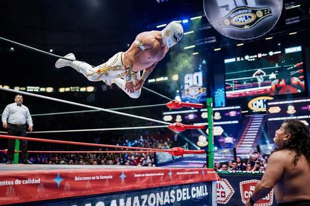 Mexico City: Wrestling Tour with Transport and Tacos
