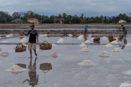 Kampot Pepper Farm, Salt Field, Secret Lake & Kep Tour With SUV